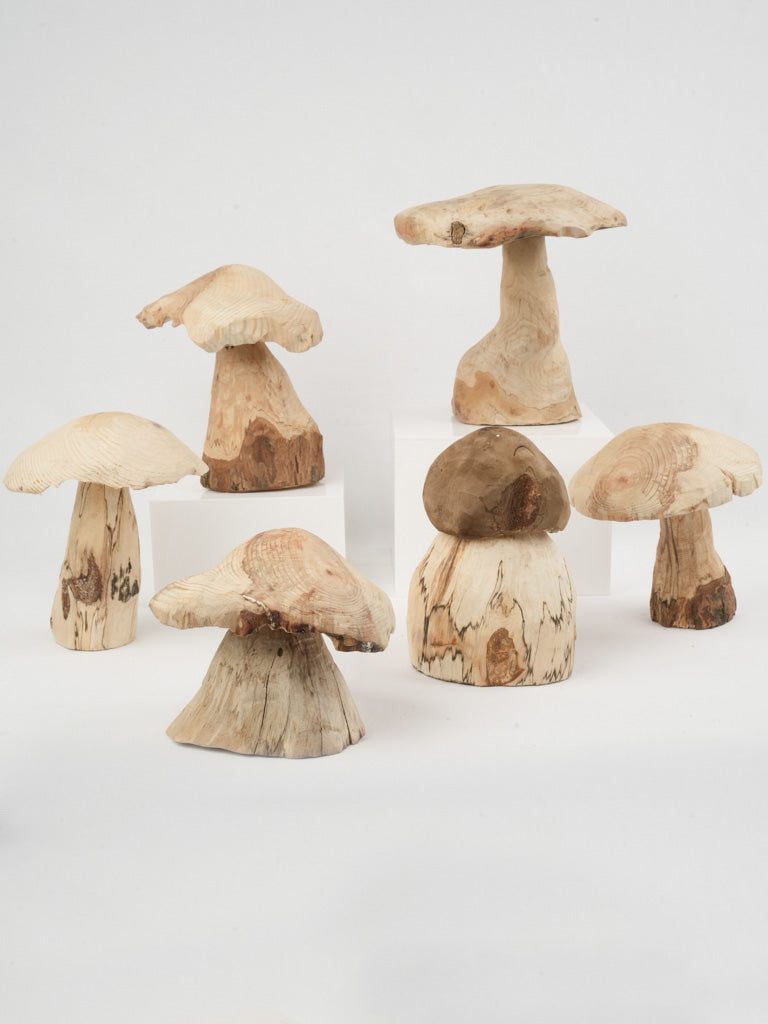 Rustic Brittany Wooden Mushroom Collection