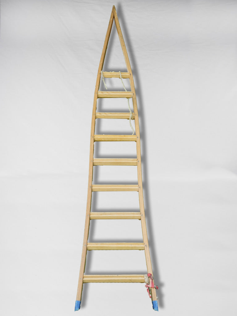 Aged, French, Wooden, Tall, Orchard ladder