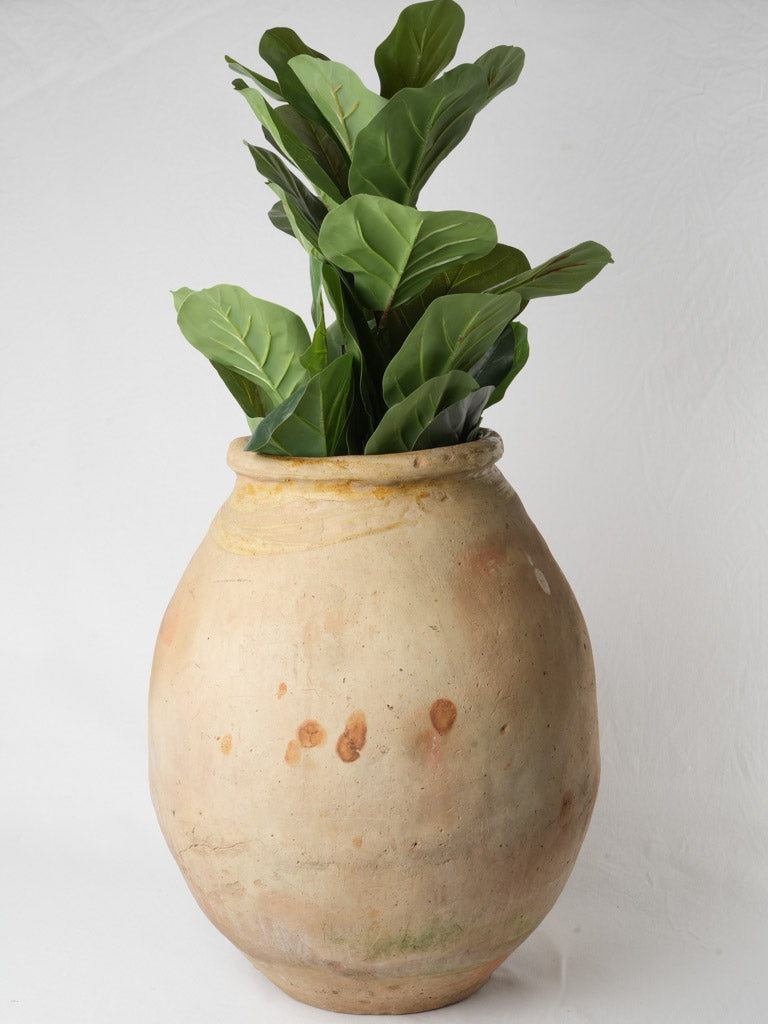 Distinctive Mediterranean Biot olive jar
