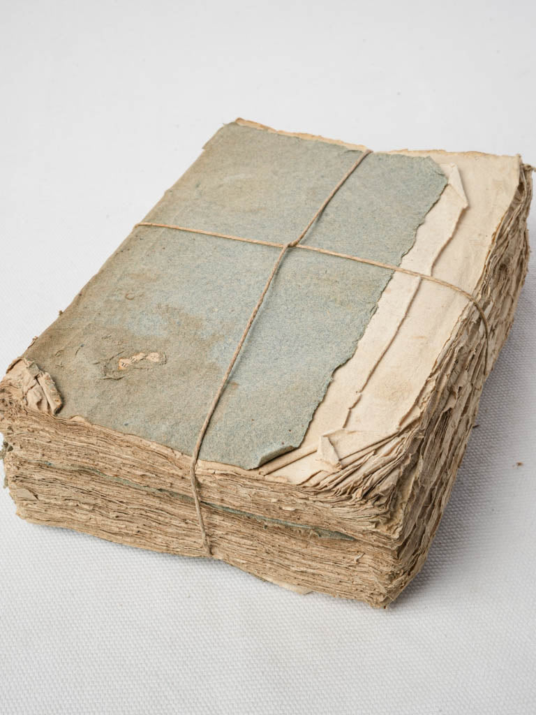 Antique French blue-covered books  