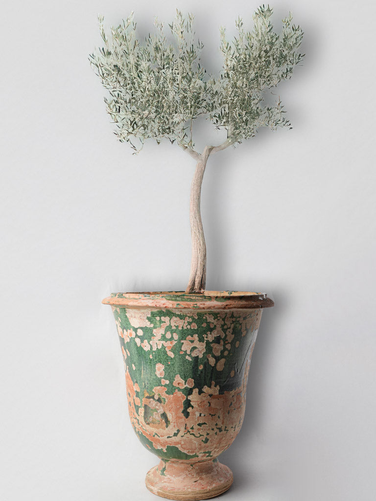 Rare antique terracotta planter  