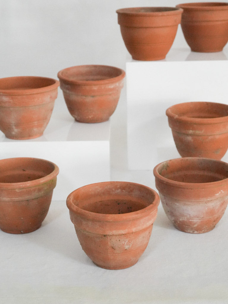 Vintage French terracotta garden pots  