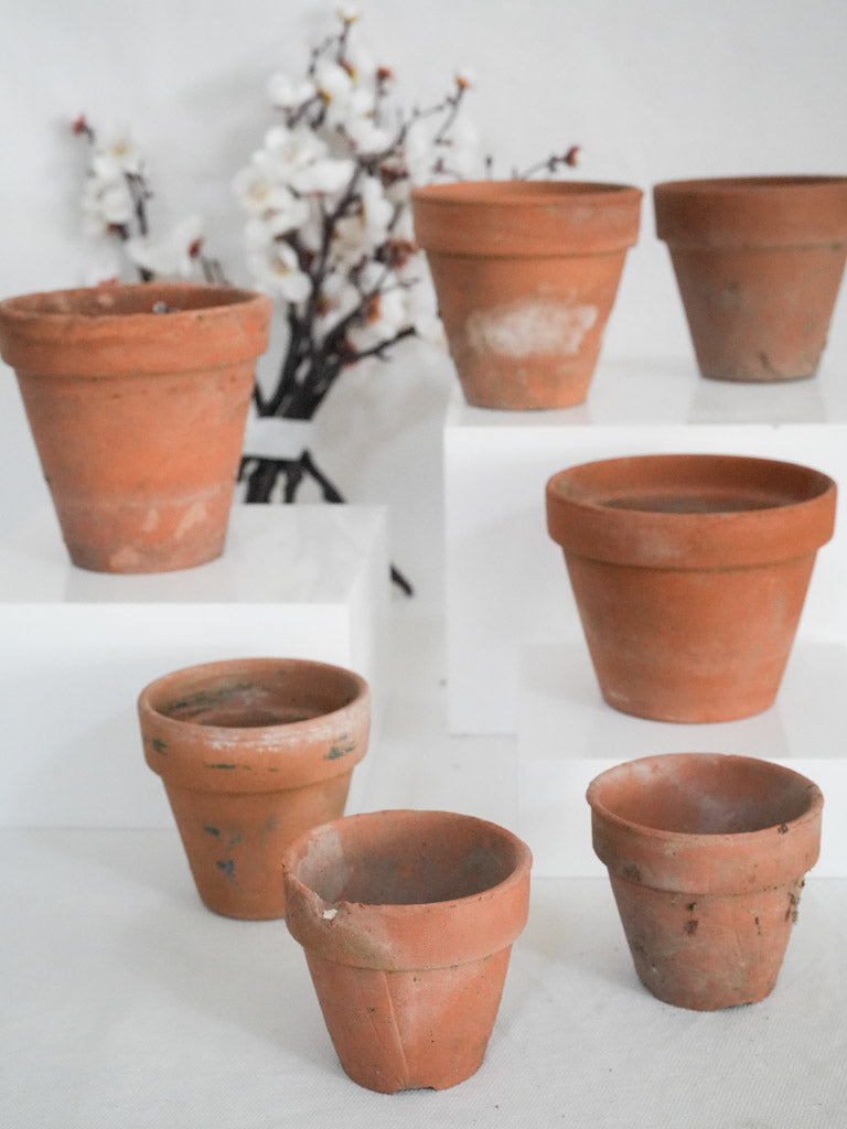 Vintage, rustic terracotta garden pots